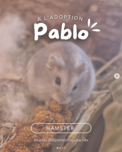 PABLO
