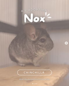 NOX